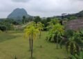 Escaping the Urban Grind: Guangxi’s ‘Wild Homestay’ Model Boosts Eco-Tourism and Rural Revitalization