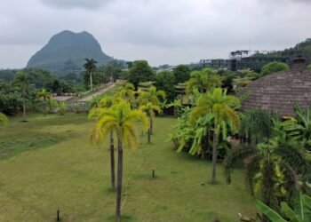 Escaping the Urban Grind: Guangxi’s ‘Wild Homestay’ Model Boosts Eco-Tourism and Rural Revitalization