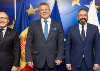 The EU expects a “quick” solution to the provisional application of the association agreement