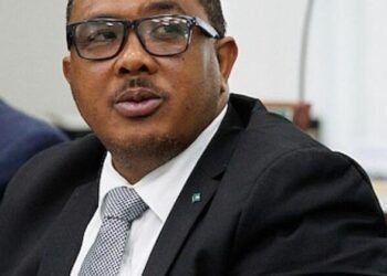 FNM deputy hits out at proposed vehicle license fees | News