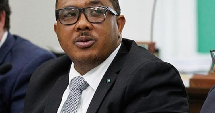 FNM deputy hits out at proposed vehicle license fees | News