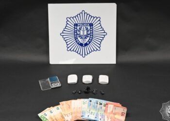 Drug seizures in Andorra drop to 4.2 kilos and arrests to 189 during 2025
