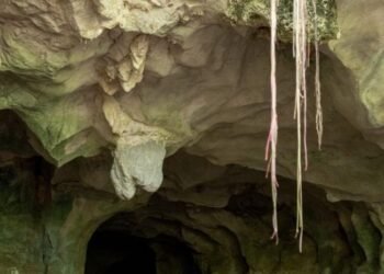 Abinader declares the land of the Cuevas del Pomier Natural Monument of public use