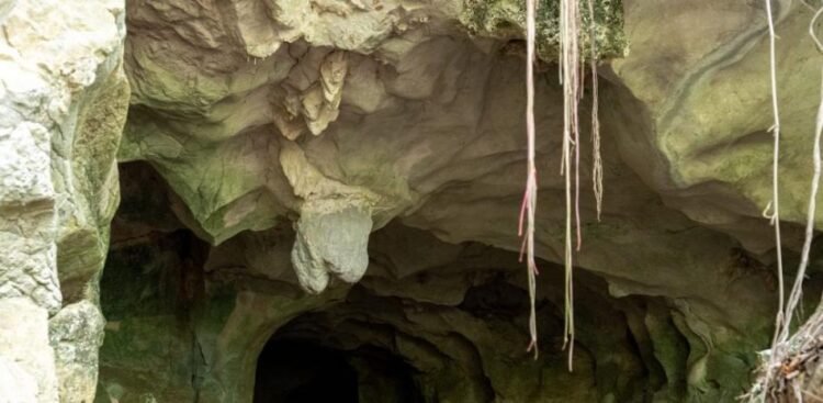 Abinader declares the land of the Cuevas del Pomier Natural Monument of public use