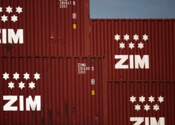 Israel ministries, shipping authority, attempt to block ZIM sale over security