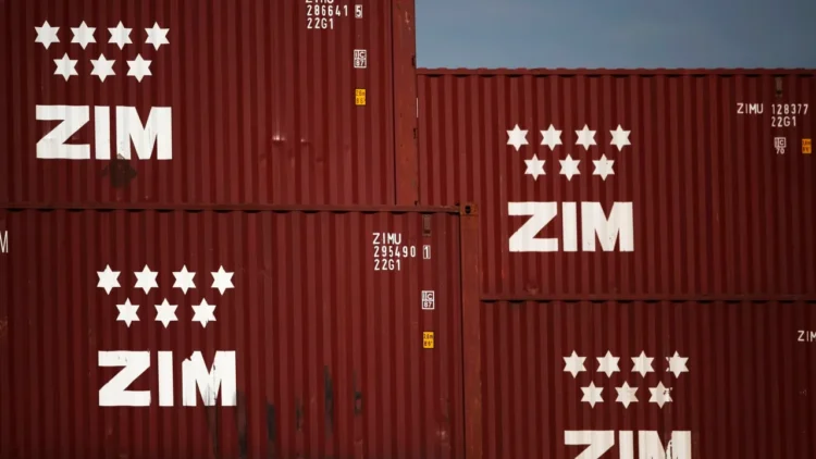 Israel ministries, shipping authority, attempt to block ZIM sale over security