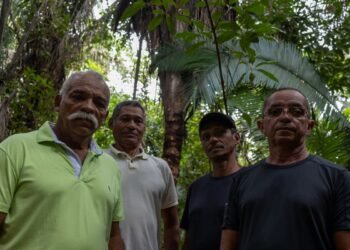 Brazil condemns Volkswagen for enslaving laborers in the Amazon 40 years ago