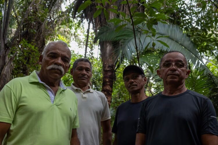 Brazil condemns Volkswagen for enslaving laborers in the Amazon 40 years ago