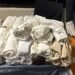 Colombian woman caught in AILA with 49 items of clothing containing cocaine