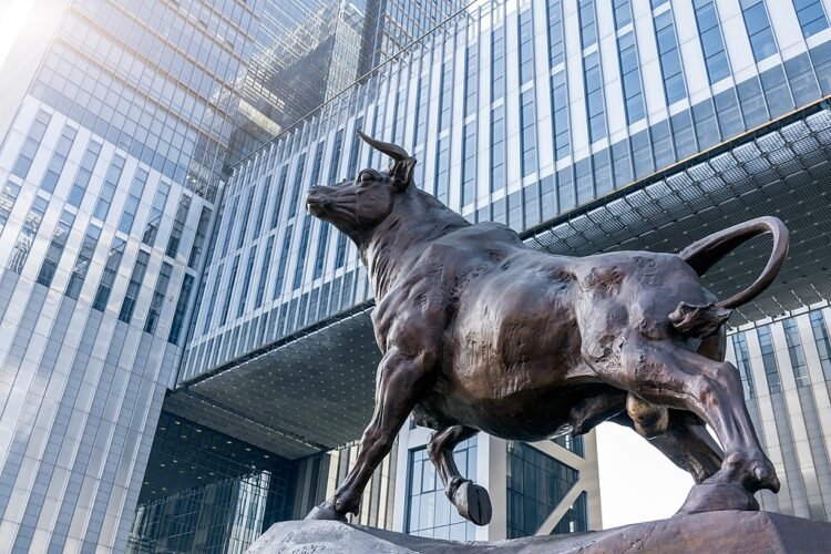 Wealth mgmt funds thriving in IPO sector