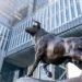 Wealth mgmt funds thriving in IPO sector