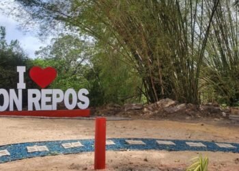 ‘I Love Mon Repos’ sign sparks community pride | News