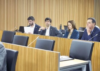 Government ‘punishes’ Gili for not finishing the homework of the load studies