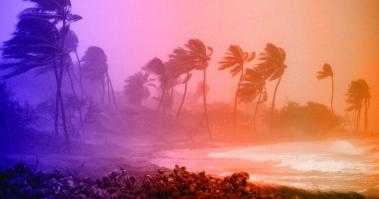 Hurricanes – A force of nature | News