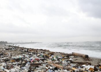 Plastics suffocate Los Gringos beach in Haina