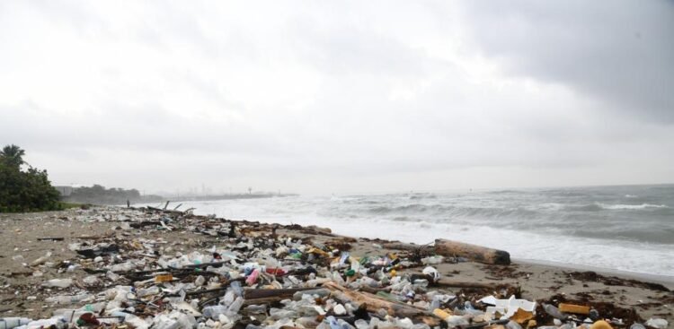 Plastics suffocate Los Gringos beach in Haina