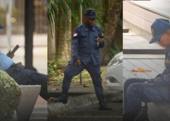What does the Municipal Police do?