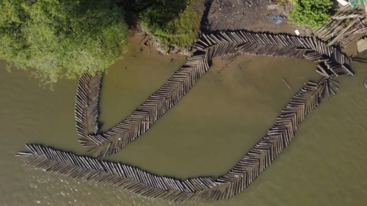 The silent war of armed groups over illegal timber in the Amazon: the Navy reports record seizures