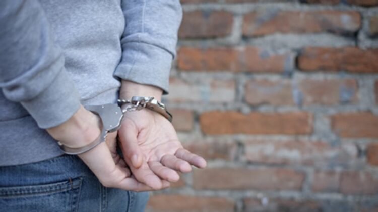 The Andorran police made 779 arrests last year