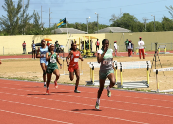 Athletes hit qualifying marks at Fritz Grant Invitational | Sports