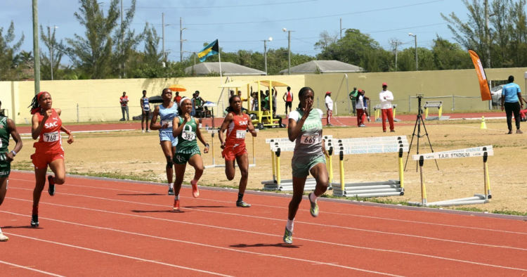 Athletes hit qualifying marks at Fritz Grant Invitational | Sports