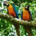 Tour operators call for reopening of Bush Bush Sanctuary | Local News