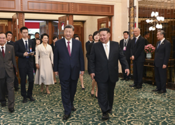Xi says he reaches important consensus with Kim on developing China-DPRK relations in new era