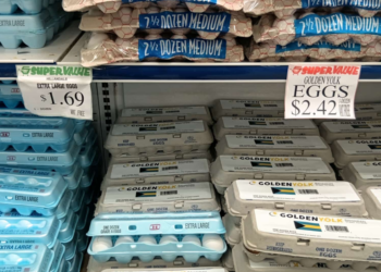 Pinder: Golden Yolk program facing competition from cheaper imported eggs | Business