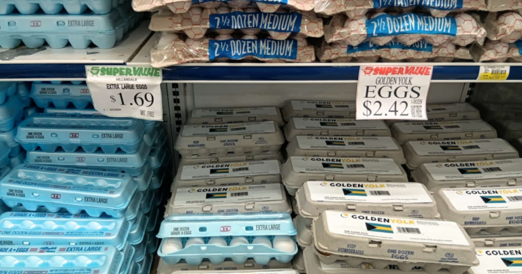 Pinder: Golden Yolk program facing competition from cheaper imported eggs | Business