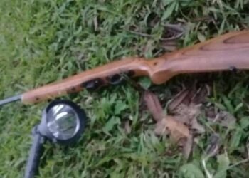 Firearms Registry reminds owners to renew licences and register firearms