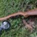 Firearms Registry reminds owners to renew licences and register firearms