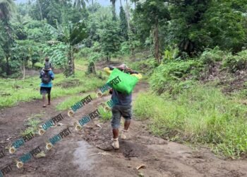 Poor roads drive up costs and disrupt services in Ambae