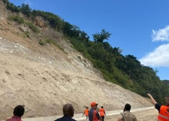 Cruise return to main wharf under assessment as Wharf Road clearance progresses