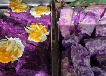Purple colours dominate SIMAS yam festival in Tongariki