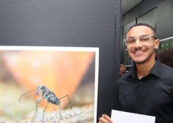 Fauna Focus: images that show the richness of wildlife in the Dominican Republic