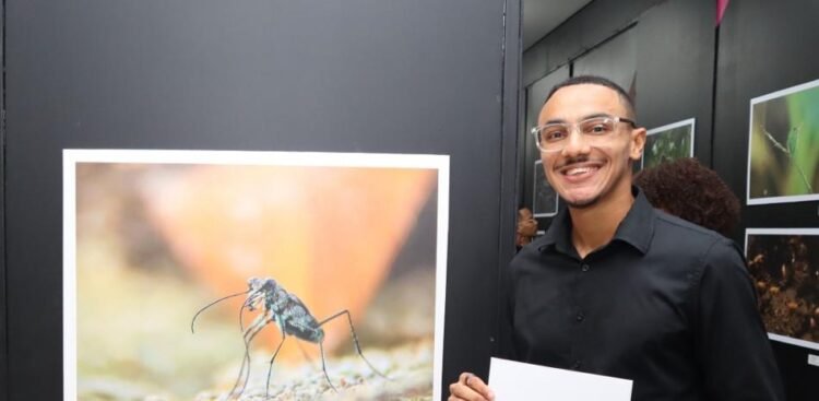 Fauna Focus: images that show the richness of wildlife in the Dominican Republic