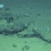 They find the largest and deepest whale cemetery, with remains 3.5 million years old