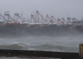 China deploys first 24-hour rapid intensification forecast model for typhoons