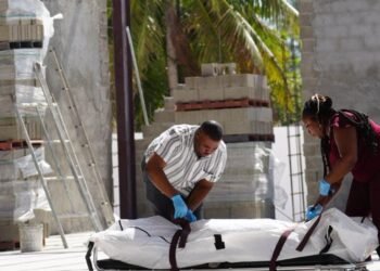 BCA renews call for contractors board following death at construction site | Business
