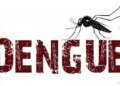 Dengue outbreak in South Efate | News