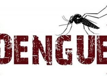 Dengue outbreak in South Efate | News