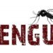 Dengue outbreak in South Efate | News