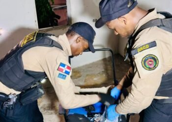 Nine arrested and 7,573 grams of drugs seized during operations in SDO