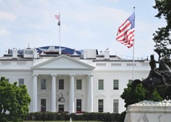 US judge blocks Trump administration’s database of Americans’ private information – World