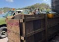 Grenada government pursuing legal action following importation of horses