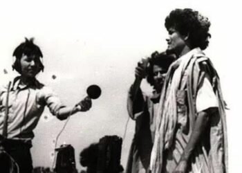 Martyr Al-Wali: The personality who ignited the spark of the contemporary Sahrawi revolution and established its national entity” (article)