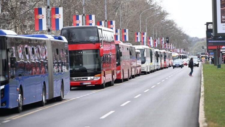 MP Jelena Milošević on the “preparation” of SNS for the rally on June 27: Quota for Nišav district 10,000, Niš Ekspres obligation 130 buses… – Politics
