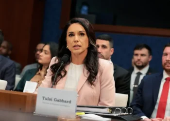 Gabbard accuses Fauci of orchestrating COVID cover-up