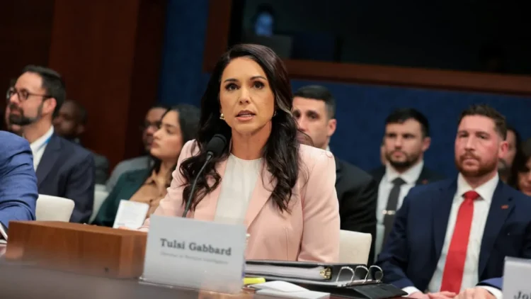 Gabbard accuses Fauci of orchestrating COVID cover-up