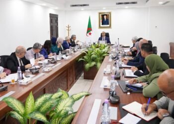 Ajal chairs a meeting to follow up on the development of the sector’s electronic portal services